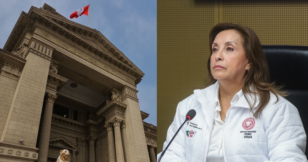 Dina Boluarte pide anulación de su vacancia ante el Poder Judicial y sus argumentos clave