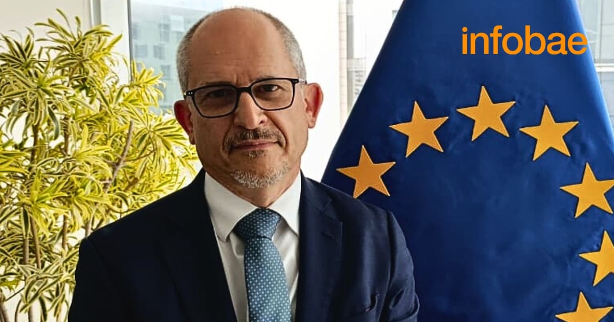 Embajador de la UE, Hatwell: “Claves para garantizar la confianza de los inversores”