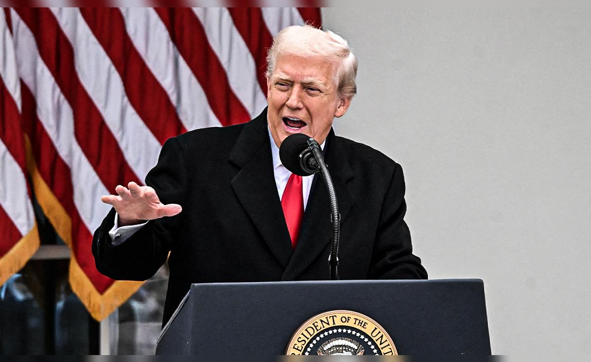 Trump afirma haber logrado avances históricos para finalizar la guerra Rusia-Ucrania en su ausencia