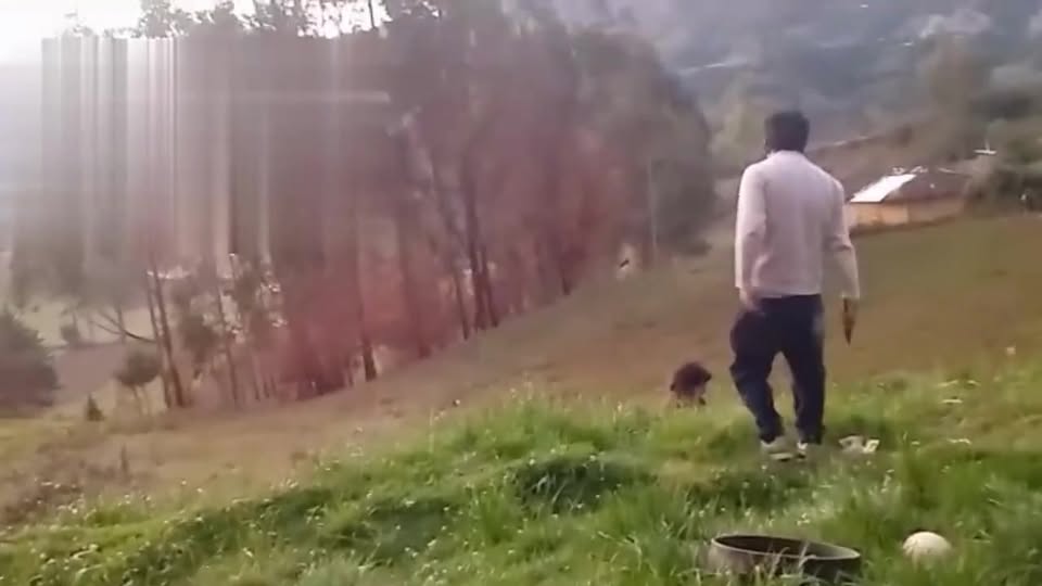 Joven en estado de ebriedad agrede a su exsuegra en Celendín