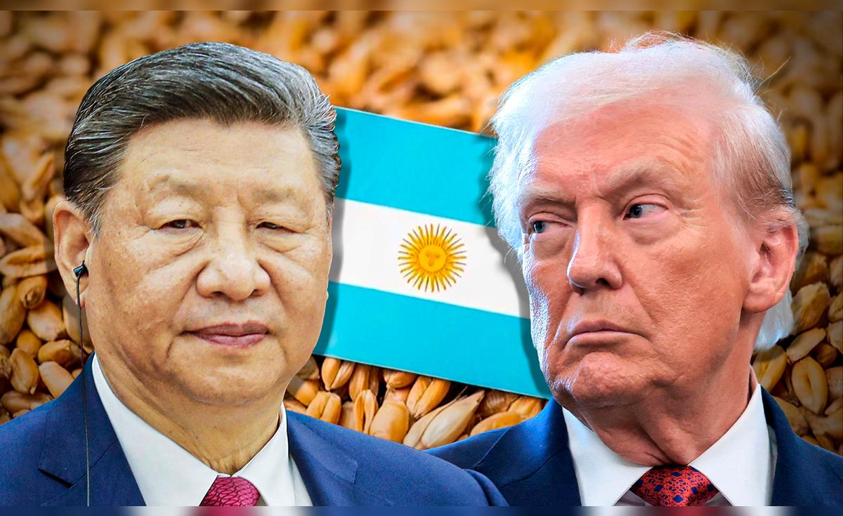 China desafía a EE. UU. e impulsa compra de 65.000 toneladas de trigo argentino en medio de reducción de aranceles por parte de Milei