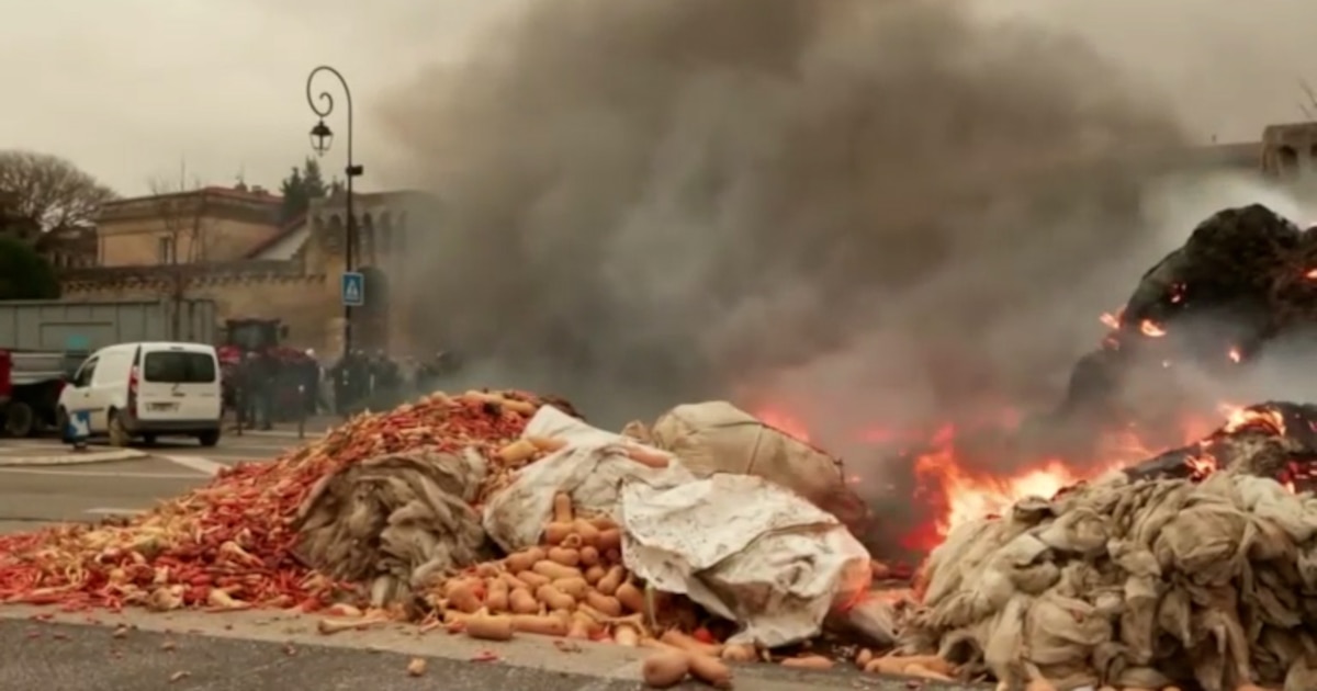 Ruralistas franceses bloquean carreteras y exigen cambios ante el sacrificio obligatorio de ganado afectado por virus
