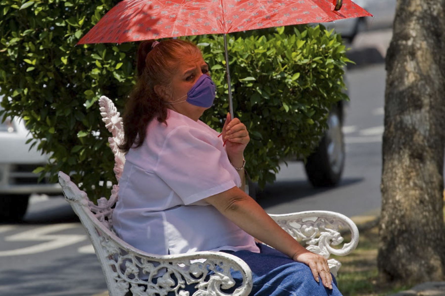 Paraguay y Argentina detectan los primeros casos de la variante H3N2 ‘supergripe’ con mayor transmisibilidad