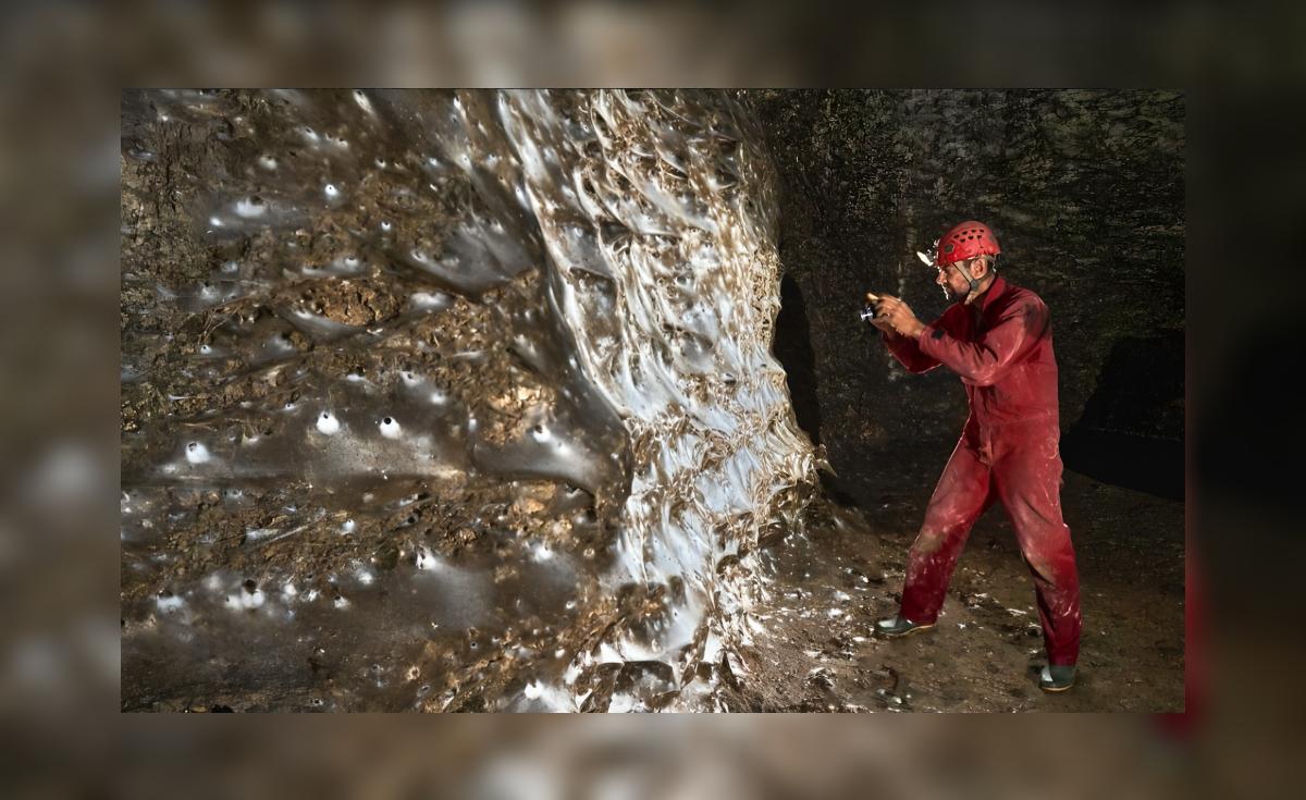 Finca de 106 m² en Europa alberga más de 111.000 arañas entre dos países