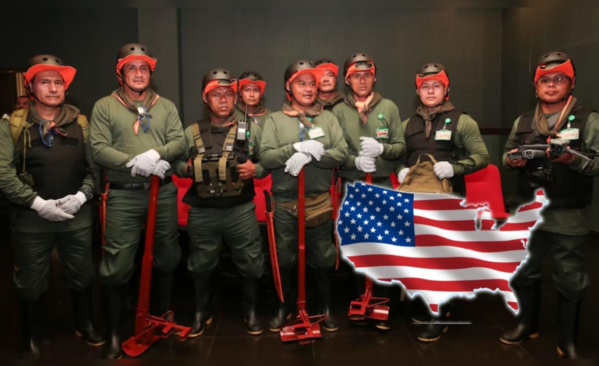 EE.UU. resalta récord de erradicación de coca en Perú: más de 36,000 hectáreas eliminadas en el Alto Huallaga