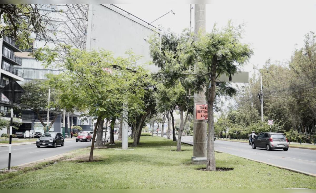 Municipalidad de Lima planea eliminar 30 mil m² de áreas verdes por obras viales