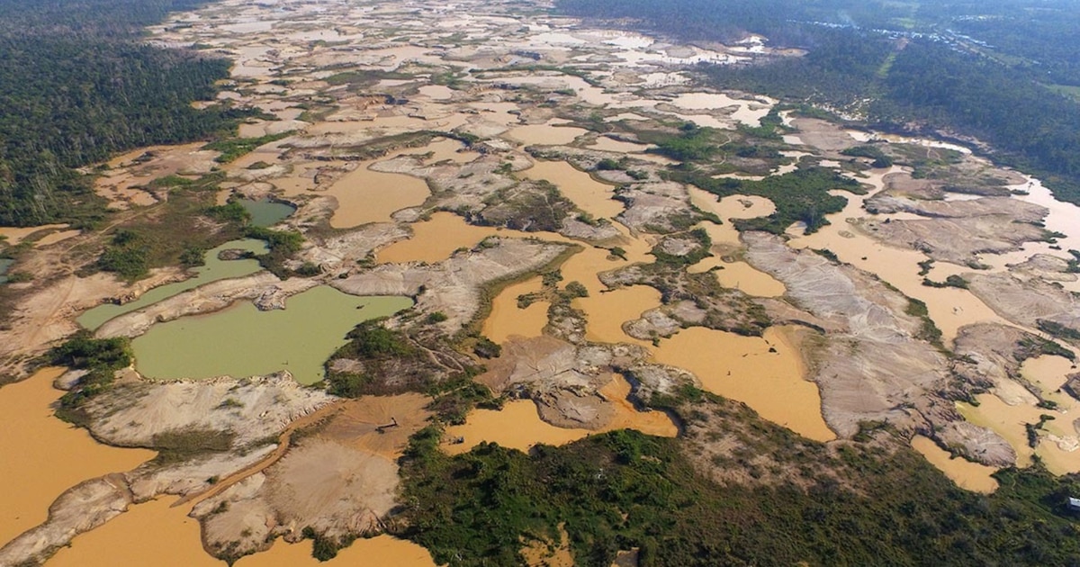 Economías ilegales como minería y narcotráfico pierden más de S/ 800 millones en 2025