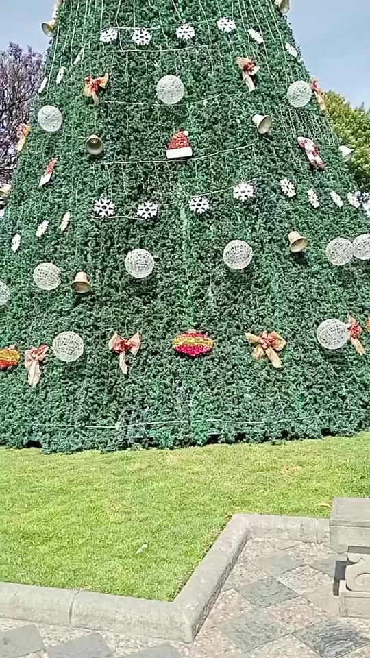 Instalan el árbol de Navidad en la Plaza de Armas de Cajamarca