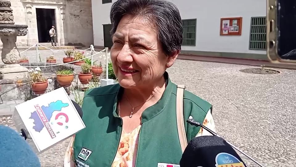 Cajamarca celebra feria del maíz morado y Nia 6001 en el Campo Santo