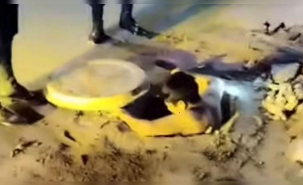 Detenido en Chiclayo tras intentar robar cables de telefonía y esconderse en un buzón