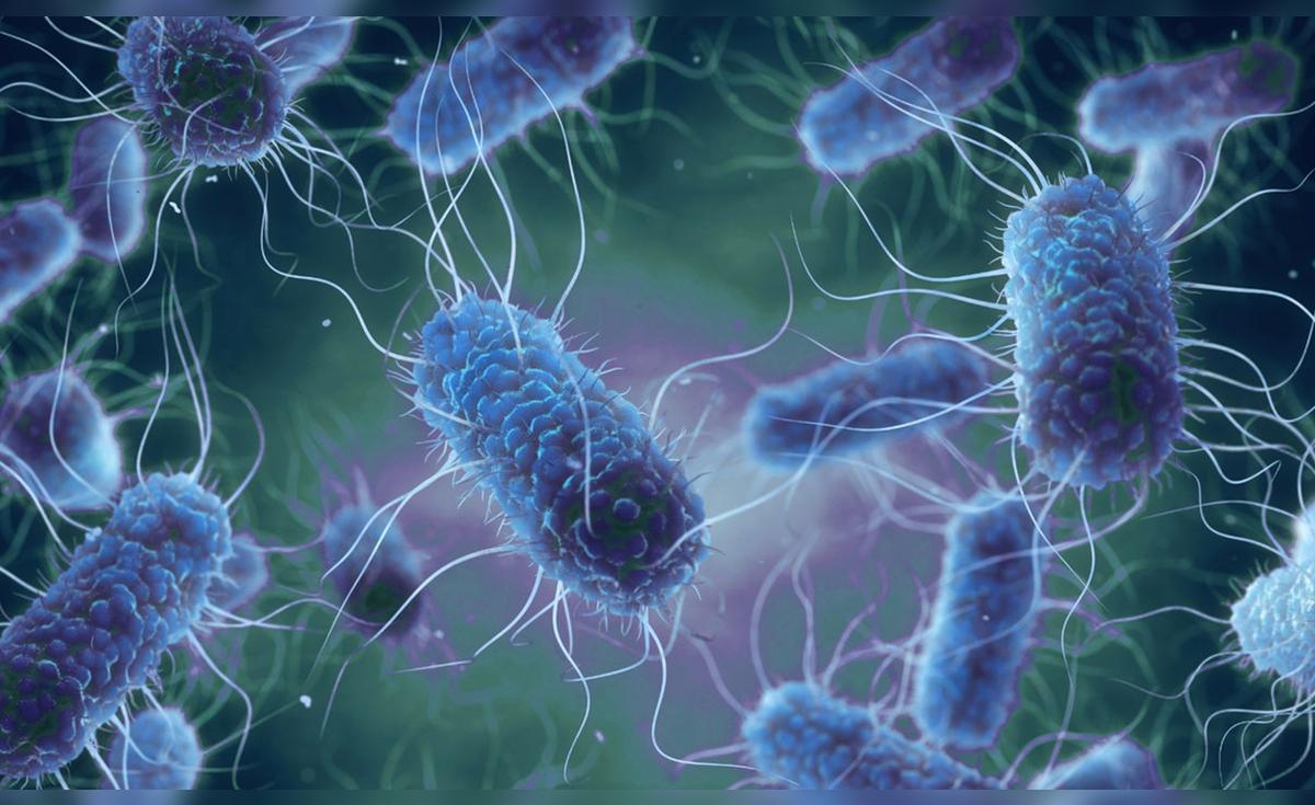 Superbacterias resistentes a antibióticos aumentan; experta advierte sobre automedicarse