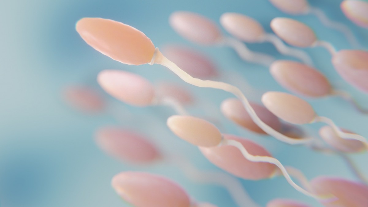 Donante de esperma con mutación en TP53 engendra a casi 200 niños, algunos fallecidos por cáncer