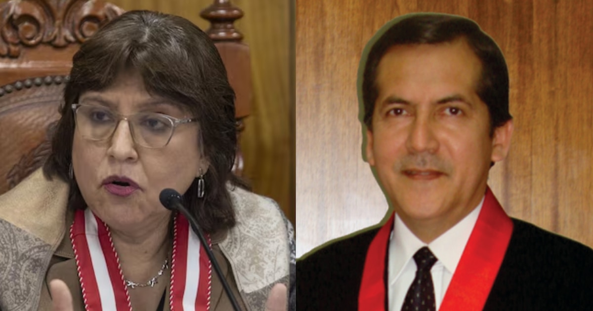 Delia Espinoza solicita al juez Torres Tasso rechazar fallo del TC y seguir con su demanda contra la JNJ